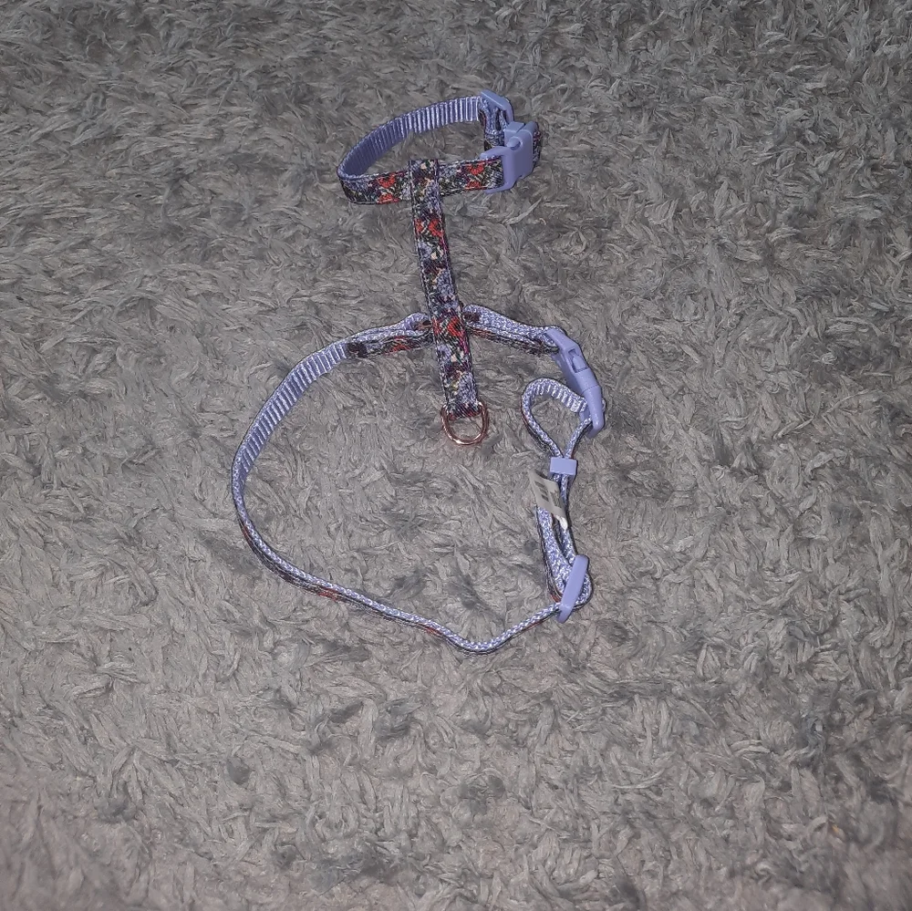 Pet harness